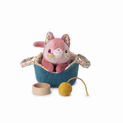 Jeanne le chat Lilliputiens dans son panier avec pelote et gamelle