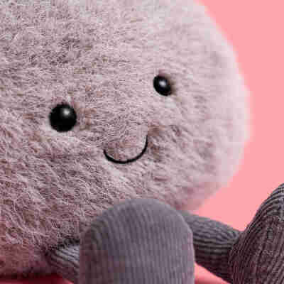 Gros plan sur le visage souriant et le pelage duveteux d’Amuseables Pebble Jellycat