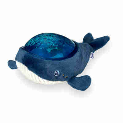 Ptit Loustic – Magasin de jeux et jouets à Saint-Étienne 1 Baleine Aqua Dream Pabobo avec dôme de projection aquatique