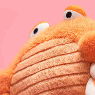 Gros plan sur le ventre côtelé et les grands yeux de Pinchsnap Crab Jellycat