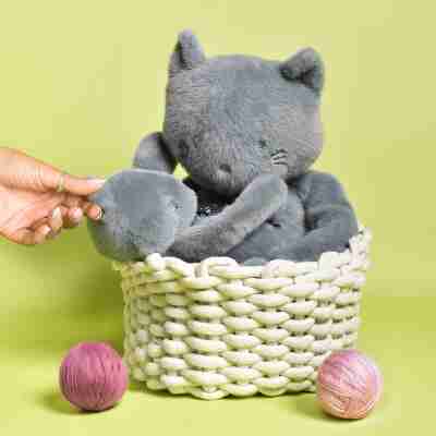 Chats Méloé Bleu Gris Mailou Tradition installés dans un panier