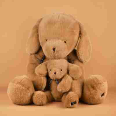 Chiens Sowen caramel Mailou Tradition en deux tailles