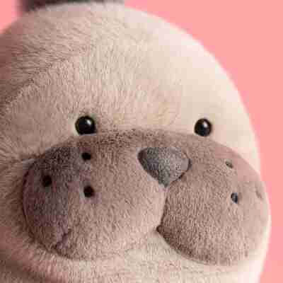 Gros plan sur le visage de Roarwell Sea Lion Jellycat avec museau, nez et moustaches brodées