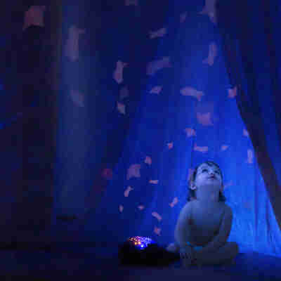 Projections aquatiques de la Baleine Aqua Dream dans une chambre sombre