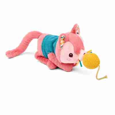 Jeanne le chat Lilliputiens tenant sa pelote grâce à sa truffe aimantée