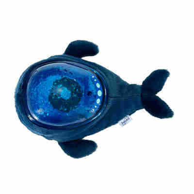 Vue du dessus de la Baleine Aqua Dream Pabobo et commandes du projecteur