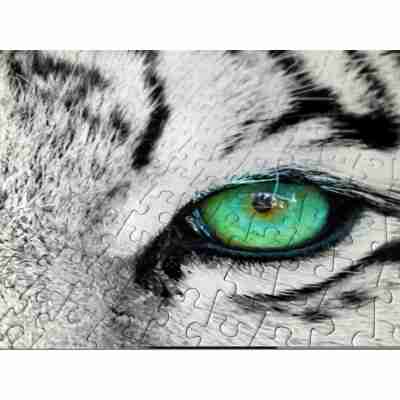 Gros plan sur les pièces du puzzle White Siberian Tiger autour de l’œil vert du tigre