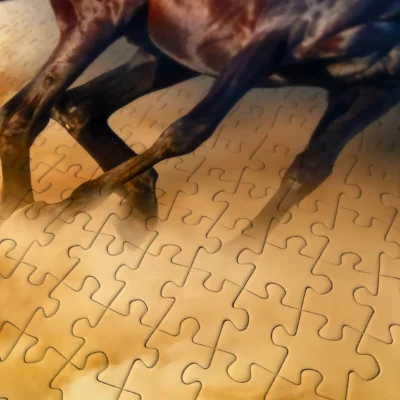 Gros plan sur les pièces du puzzle Horses Running in the Desert au niveau des chevaux et du sable