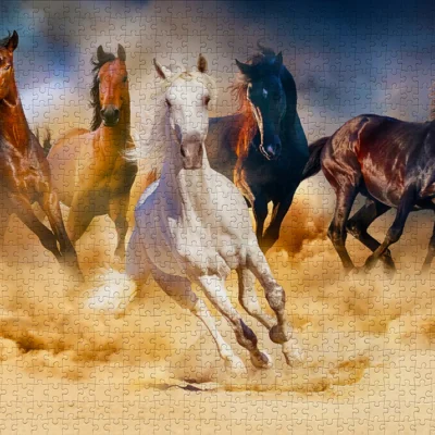 Puzzle Horses Running in the Desert Enjoy assemblé avec cinq chevaux galopant dans le sable