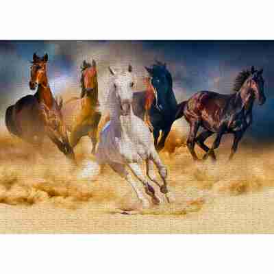 Puzzle Horses Running in the Desert Enjoy assemblé avec cinq chevaux galopant dans le sable