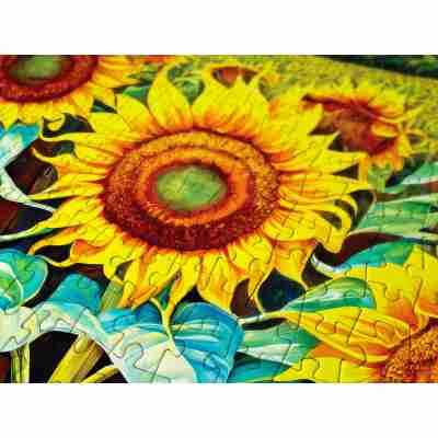 Gros plan sur les pièces du puzzle Sunflower House représentant des tournesols jaunes
