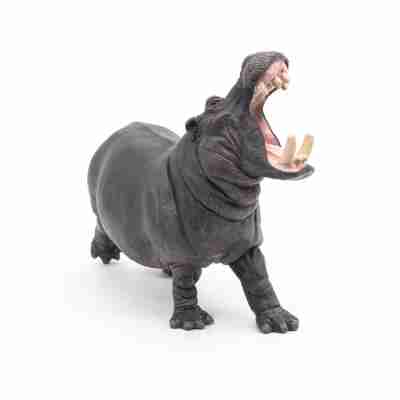 Figurine Hippopotame Papo 50051 vue de trois quarts avec ses grandes canines