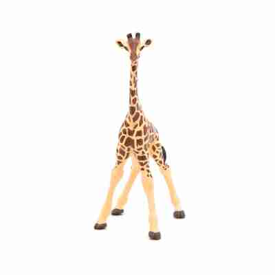 Figurine Girafon Papo 50100 vue de face