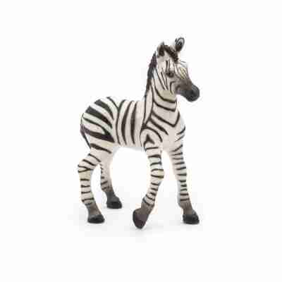 Figurine Bébé zèbre Papo 50123 debout avec une patte avant relevée