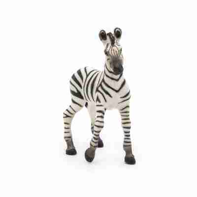 Figurine Bébé zèbre Papo vue de face avec pelage rayé et oreilles dressées
