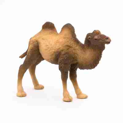 Figurine Chameau de Bactriane Papo 50129 avec ses deux bosses vue de profil