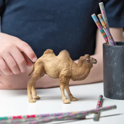 Figurine Chameau de Bactriane Papo 50129 mise en scène sur une table près d’un enfant