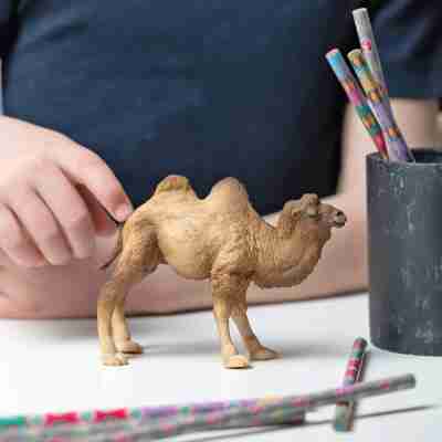 Figurine Chameau de Bactriane Papo 50129 mise en scène sur une table près d’un enfant