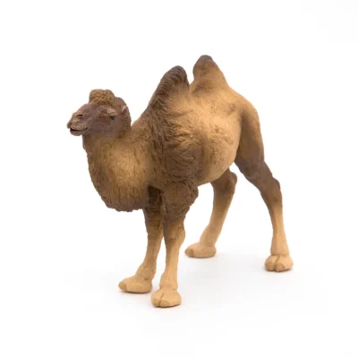 Chameau de Bactriane Papo vu de l’autre côté avec pelage brun et beige texturé