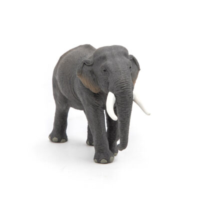 Figurine Éléphant d’Asie Papo 50131 vue de face avec trompe et défenses blanches