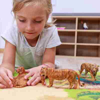 Enfant jouant avec plusieurs figurines de tigres Papo