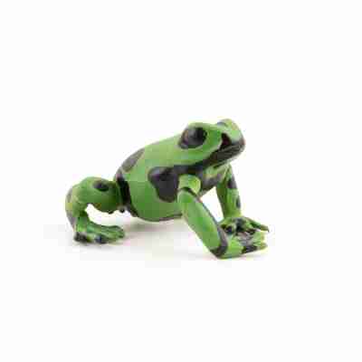 Figurine Papo de grenouille équatoriale verte vue de côté