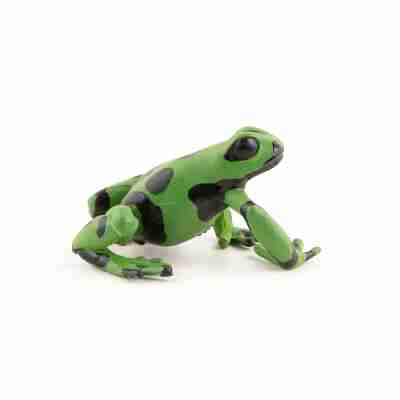 Figurine Grenouille équatoriale verte Papo vue de profil avec motifs noirs
