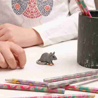 Enfant jouant avec la figurine Souris grise Papo 50205