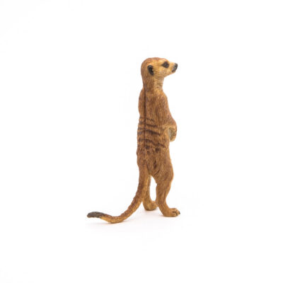 Ptit Loustic – Magasin de jeux et jouets à Saint-Étienne 12 Figurine Suricate debout Papo vue de dos avec longue queue et pelage brun