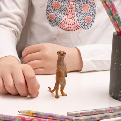 Enfant jouant avec la figurine Suricate debout Papo 50206