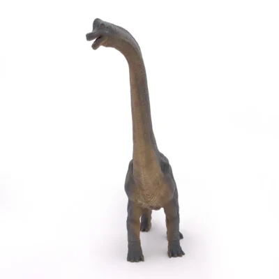 Brachiosaure Papo vu de face montrant son très long cou et ses quatre pattes massives