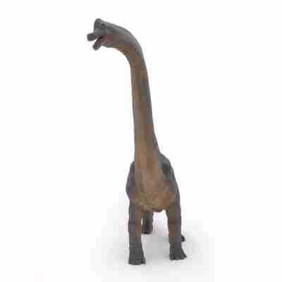 Brachiosaure Papo vu de face montrant son très long cou et ses quatre pattes massives