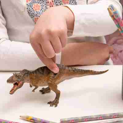 Enfant jouant avec la figurine Gorgosaurus Papo 55074 à mâchoire articulée
