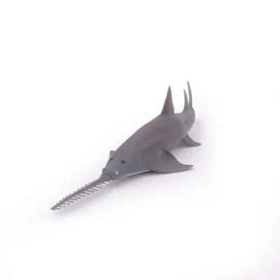 Poisson-scie Papo vu de face avec son long rostre denté et ses nageoires