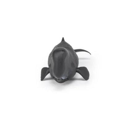 Figurine Cachalot Papo vue de face avec large tête et nageoires pectorales