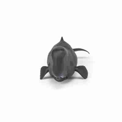 Figurine Cachalot Papo vue de face avec large tête et nageoires pectorales