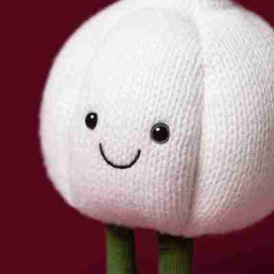Gros plan sur le visage souriant et la texture en maille de Amuseables Garlic Jellycat